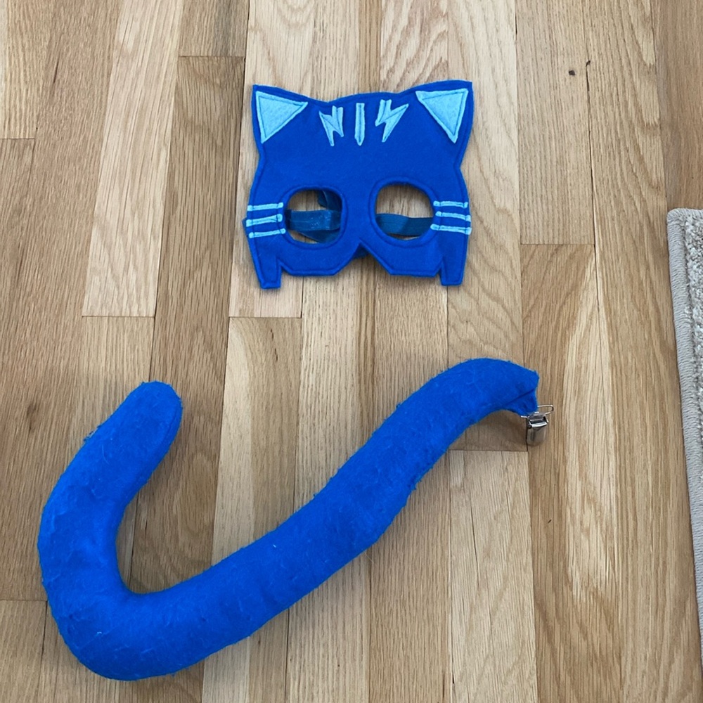 PJ Masks Cat Boy costume